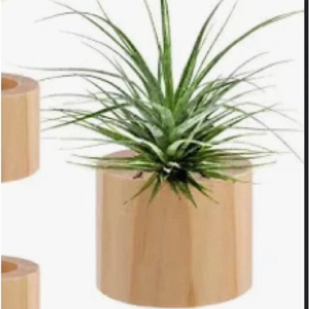 2/$30 Vintage Mini Hand Turned Wooden Vase Air Plant Holder